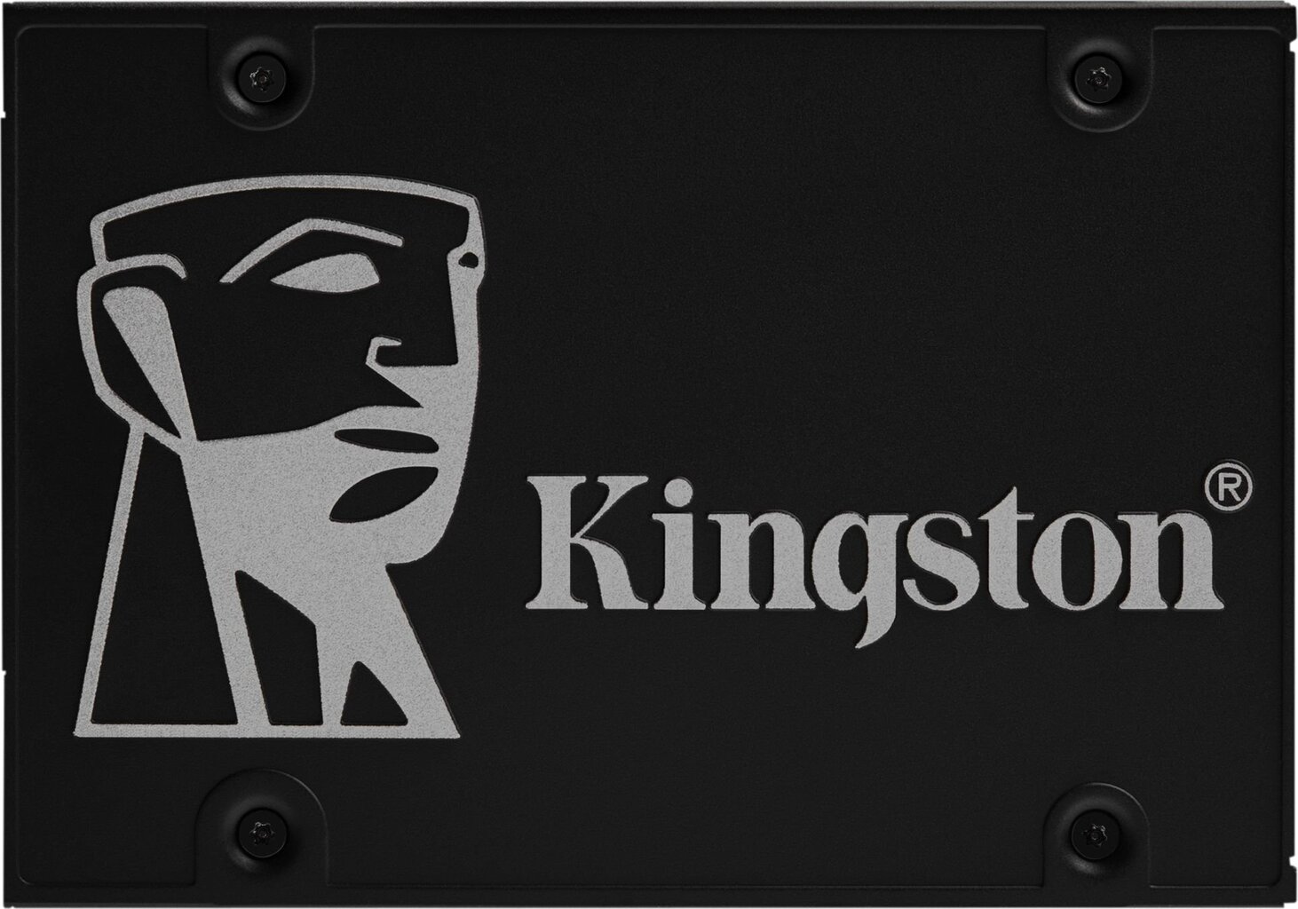 Kingston SKC600 / 256G hinta ja tiedot | Kovalevyt | hobbyhall.fi