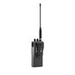 CB Alan 42DS AM / FM Digital Squelch hinta ja tiedot | Radiopuhelimet | hobbyhall.fi