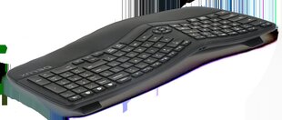 Delux GM902 langaton ergonominen näppäimistö 2.4G + BT 4.0 hinta ja tiedot | Näppäimistöt | hobbyhall.fi