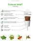 Click & Grow Smart Garden -täyttö Rucola 3kpl hinta ja tiedot | Sisäpuutarhat ja kasvilamput | hobbyhall.fi