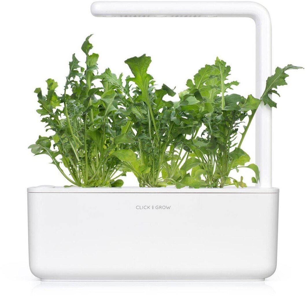 Click & Grow Smart Garden -täyttö Rucola 3kpl hinta ja tiedot | Sisäpuutarhat ja kasvilamput | hobbyhall.fi