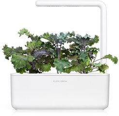 Click & Grow Smart Garden -täyte Punainen lehtikaali 3kpl hinta ja tiedot | Sisäpuutarhat ja kasvilamput | hobbyhall.fi