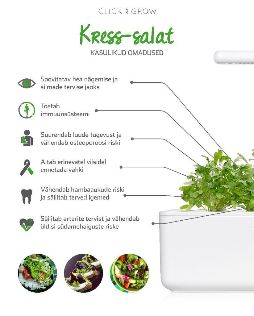 Click & Grow Smart Garden -täyte Kress-salaatti 3kpl hinta ja tiedot | Sisäpuutarhat ja kasvilamput | hobbyhall.fi