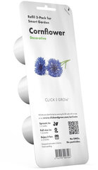 Click & Grow Smart Garden -täyttö Ruiskukka 3kpl hinta ja tiedot | Sisäpuutarhat ja kasvilamput | hobbyhall.fi