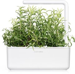 Click & Grow Smart Garden -täyttö Rosemary 3 kpl hinta ja tiedot | Click & Grow Keittiön pienkoneet | hobbyhall.fi