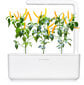 Click & Grow Smart Garden -täyttö Keltainen chili 3 kpl hinta ja tiedot | Sisäpuutarhat ja kasvilamput | hobbyhall.fi
