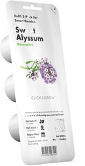 Click & Grow Smart Garden -Lobularia maritima Tuoksupielus, 3kpl hinta ja tiedot | Sisäpuutarhat ja kasvilamput | hobbyhall.fi