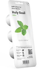 Click & Grow Smart Garden -täyttö Holy Basil 3 kpl hinta ja tiedot | Click & Grow Kodinkoneet ja kodinelektroniikka | hobbyhall.fi