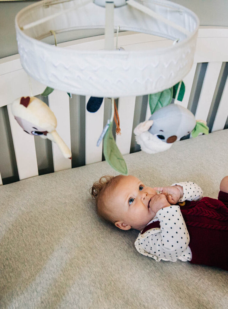 Sänkykaruselli Tiny Love Boho Chic hinta ja tiedot | Vauvan lelut | hobbyhall.fi