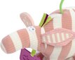 DOLCE TOYS Maasika hinta ja tiedot | Vauvan lelut | hobbyhall.fi