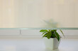 Rullaverho ikkunaan 150x170 cm, 2072 Keltainen hinta ja tiedot | Rullaverhot | hobbyhall.fi