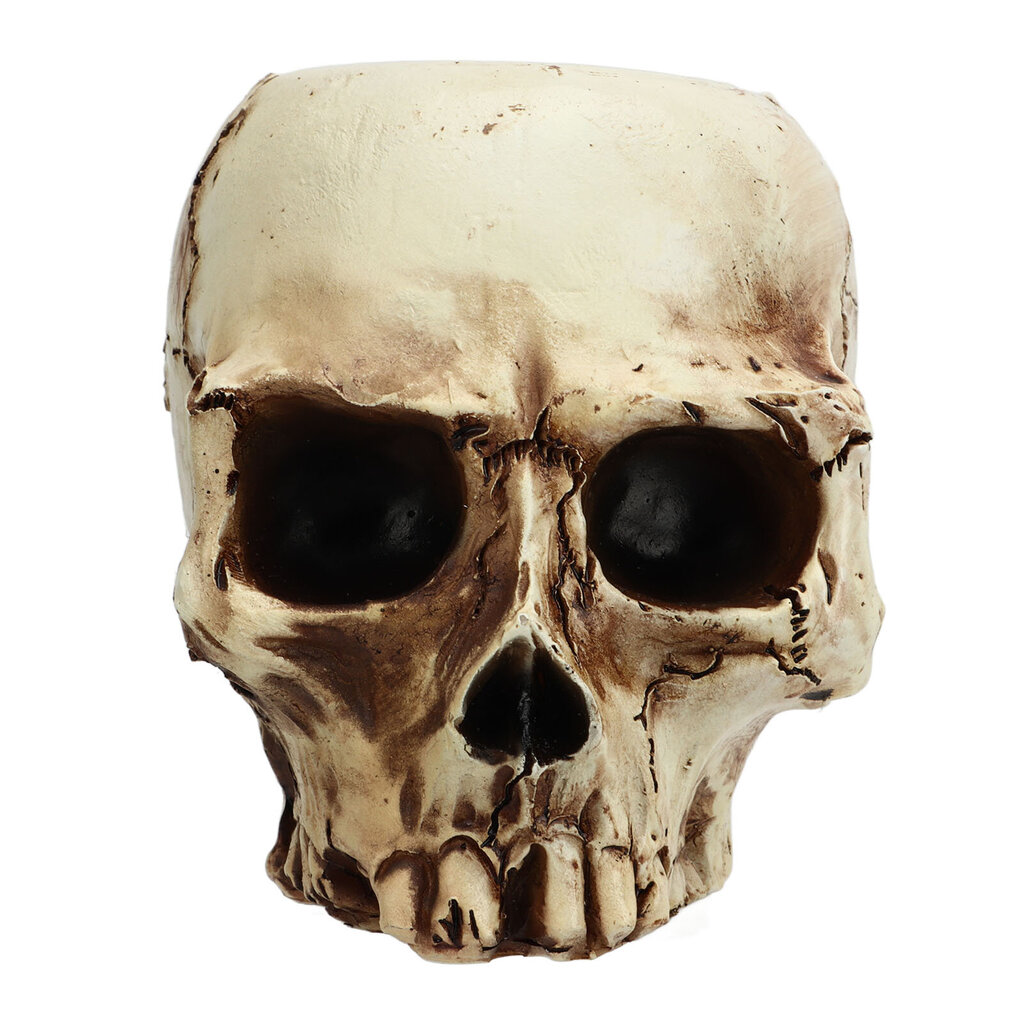 Skull Head -kukkaruukkuhartsi, erittäin luja, kirkas muotoinen kallonistutuskone kotitoimiston pöydän koristeluun hinta ja tiedot | Kukkalaatikot | hobbyhall.fi