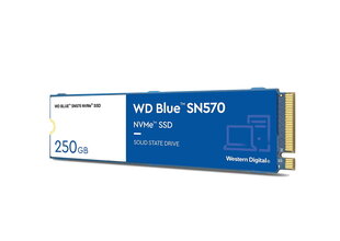 WD WDS250G3B0C hinta ja tiedot | Kovalevyt | hobbyhall.fi