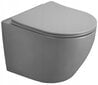 WC-istuin Mexen Lena Rimless Duroplast Slim hitaasti sulkeutuvalla kannella, Light grey mat hinta ja tiedot | WC-istuimet | hobbyhall.fi