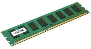 Crucial 4GB 1600MHz DDR3 CL11 CT51264BD160BJ hinta ja tiedot | Muisti (RAM) | hobbyhall.fi