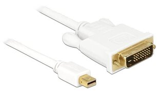 Displayport mini male, DVI 24pin male, 2m hinta ja tiedot | Kaapelit ja adapterit | hobbyhall.fi