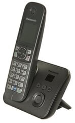 Panasonic KX-TG6821, harmaa hinta ja tiedot | Lankapuhelimet | hobbyhall.fi
