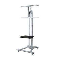 NewStar Mobile Flatscreen Floor Stand - (height: 80-180 cm) hinta ja tiedot | TV-seinätelineet | hobbyhall.fi