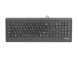Natec Mulitmedia Keyboard BARRACUDA Slim USB, US layout, Black hinta ja tiedot | Näppäimistöt | hobbyhall.fi