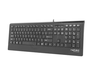 Natec Mulitmedia Keyboard BARRACUDA Slim USB, US layout, Black hinta ja tiedot | Näppäimistöt | hobbyhall.fi