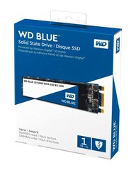 Western Digital WD Blue 1TB SATA3 (WDS100T2B0B) hinta ja tiedot | Kovalevyt | hobbyhall.fi