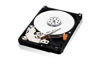 Western Digital AV-25 500GB 5400RPM SATA2 16MB WD5000LUCT hinta ja tiedot | Kovalevyt | hobbyhall.fi