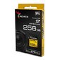 Atminties kortelė ADATA Premier One SDXC UHS-II U3, klasė 10, 256 GB hinta ja tiedot | Puhelimen muistikortit | hobbyhall.fi