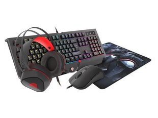 Genesis Cobalt 330 RGB 4 in 1 hinta ja tiedot | Genesis Tietokoneet ja pelaaminen | hobbyhall.fi