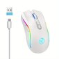 HXSJ Uusi 2.4G Langaton Hiiri RGB Valo Ladattava 4800DPI Säädettävä USB Plug and Play Optinen Pelihiiri Koti Toimisto Musta/Valkoinen hinta ja tiedot | Hiiret | hobbyhall.fi