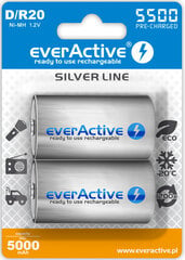 Akut EverActive AAEVHRL20-5500B2 hinta ja tiedot | Paristot | hobbyhall.fi