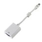 Hama Mini DisplayPort VGA, valkoinen hinta ja tiedot | Kaapelit ja adapterit | hobbyhall.fi