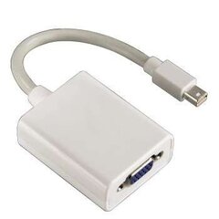 Hama Mini DisplayPort VGA, valkoinen hinta ja tiedot | Hama Kodinkoneet ja kodinelektroniikka | hobbyhall.fi