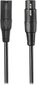 Dinaminis kardioidinis mikrofonas Audio Technica ATR2100x-USB hinta ja tiedot | Mikrofonit | hobbyhall.fi