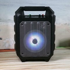 Omega kaiutin Party 20W Bluetooth V2.1 hinta ja tiedot | Omega Tietokoneen lisälaitteet | hobbyhall.fi