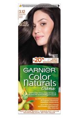 Pitkäkestäväinen hiusväri Garnier Color Naturals, Frozen Black hinta ja tiedot | Hiusvärit | hobbyhall.fi