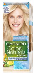 Pitkäkestäväinen hiusväri Garnier Color Naturals, Ultra Ashy Blond hinta ja tiedot | Hiusvärit | hobbyhall.fi