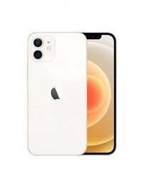 Apple iPhone 12 64GB White MGJ63 hinta ja tiedot | Matkapuhelimet | hobbyhall.fi