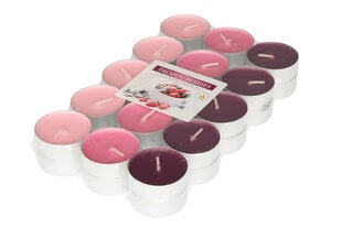 Tuoksukynttiläsarja Frozen Berries, 30 kpl hinta ja tiedot | Kynttilät ja kynttilänjalat | hobbyhall.fi