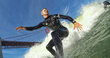 GoPro Surfboard Mounts tvirtinimas hinta ja tiedot | Videokameran lisätarvikkeet | hobbyhall.fi