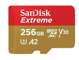 SanDisk SDSQXA1-GN6MA 256 GB hinta ja tiedot | Muistitikut | hobbyhall.fi