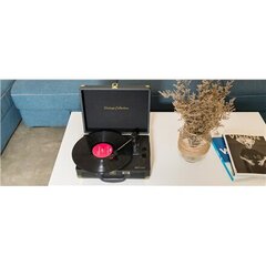 Muse MT-103 GD hinta ja tiedot | Vinyylilevysoittimet ja gramofonit | hobbyhall.fi