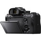 Sony A7R Mark III A Body, musta hinta ja tiedot | Kamerat | hobbyhall.fi