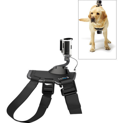 GoPro Fetch ADOGM-001 hinta ja tiedot | Videokameran lisätarvikkeet | hobbyhall.fi