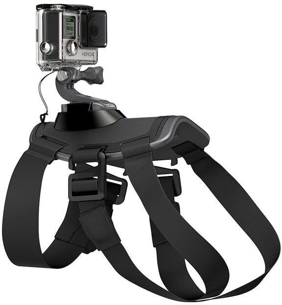 GoPro Fetch ADOGM-001 hinta ja tiedot | Videokameran lisätarvikkeet | hobbyhall.fi