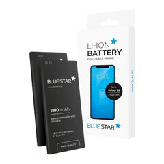 BlueStar Apple iPhone 8 Plus 616-00364 hinta ja tiedot | BlueStar Puhelimet, älylaitteet ja kamerat | hobbyhall.fi