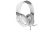 Turtle Beach kuulokkeet + mikrofoni Recon 200, valkoinen hinta ja tiedot | Kuulokkeet | hobbyhall.fi