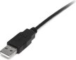 StarTech USB2HABM2M hinta ja tiedot | Puhelinkaapelit | hobbyhall.fi