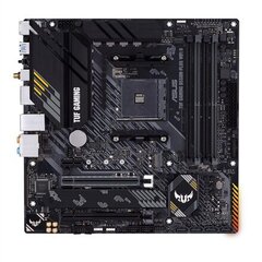 Asus 90MB19Y0-M0EAY0 hinta ja tiedot | Prosessorit | hobbyhall.fi