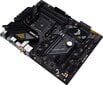 Asus 90MB19U0-M0EAY0 hinta ja tiedot | Prosessorit | hobbyhall.fi