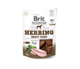 Brit Jerky Herring Meaty Coins Snack herkku koirille 80g hinta ja tiedot | Brit Koirat | hobbyhall.fi